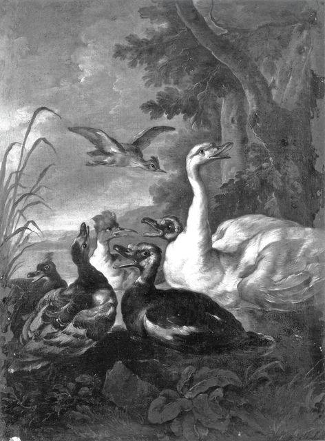 Sotheby's — Crivelli Angelo Maria (Crivellone) - sec. XVII/ XVIII - Anatre e cigno in uno stagno — insieme